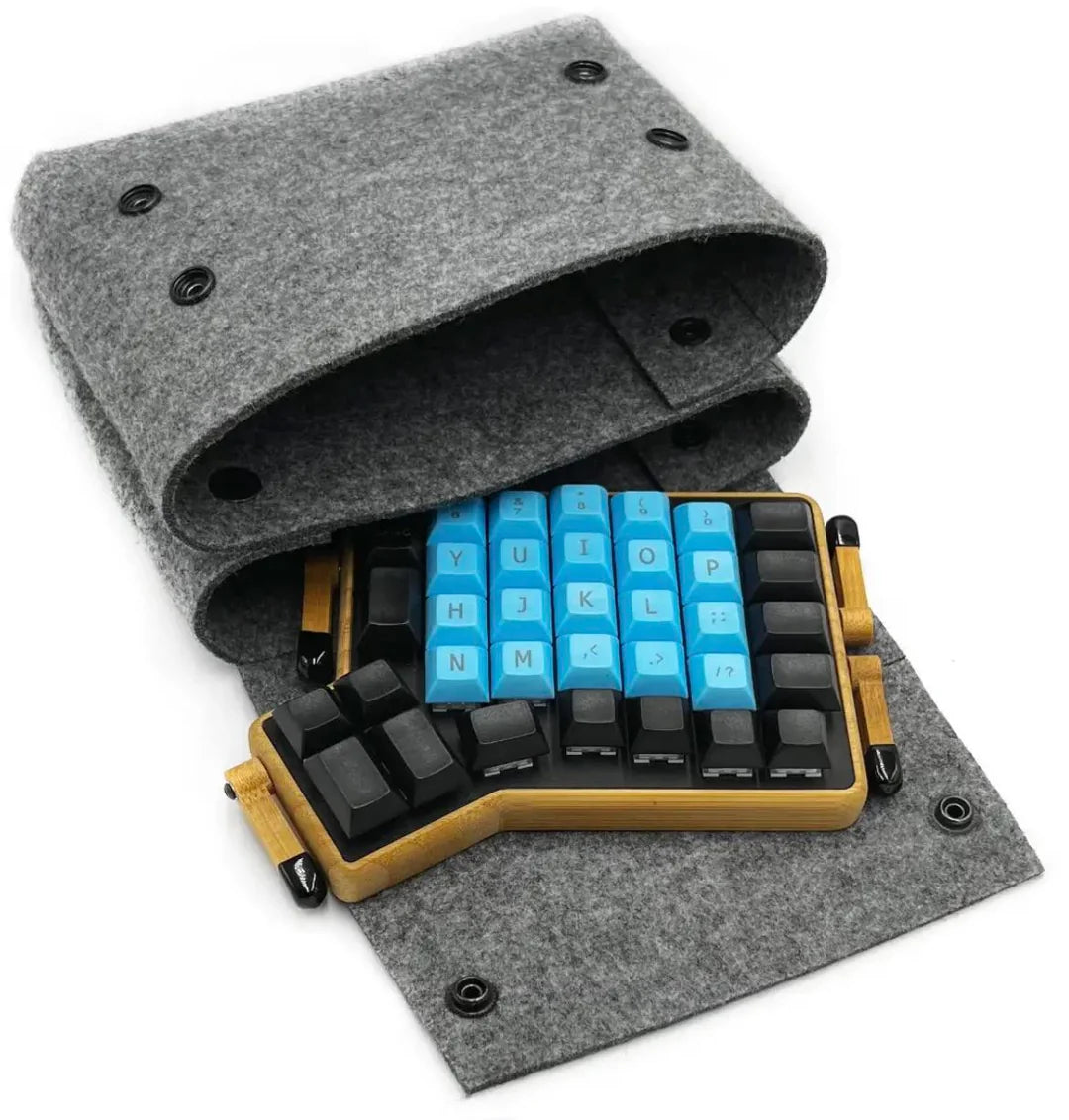 carry case